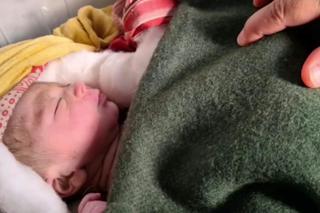 Było w grobie, cudem przeżyło