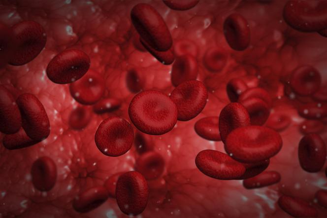 NADPŁYTKOWOŚĆ (trombocytoza, duża liczba płytek krwi) - przyczyny, objawy i leczenie