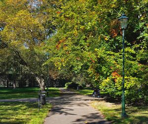 Park im. Henryka Jordana w Krakowie