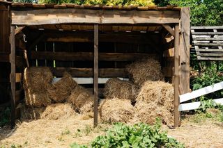 Farma 4: skandaliczne zachowanie w programie! Skończy się dyskwalifikacją?