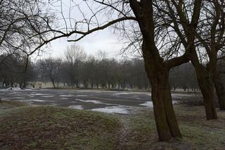 Park Grabek w Czeladzi