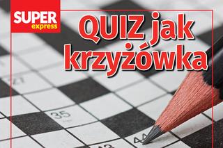 QUIZ jak krzyżówka. Wskaż odpowiedzi i zgadnij hasło. Lekko nie będzie!