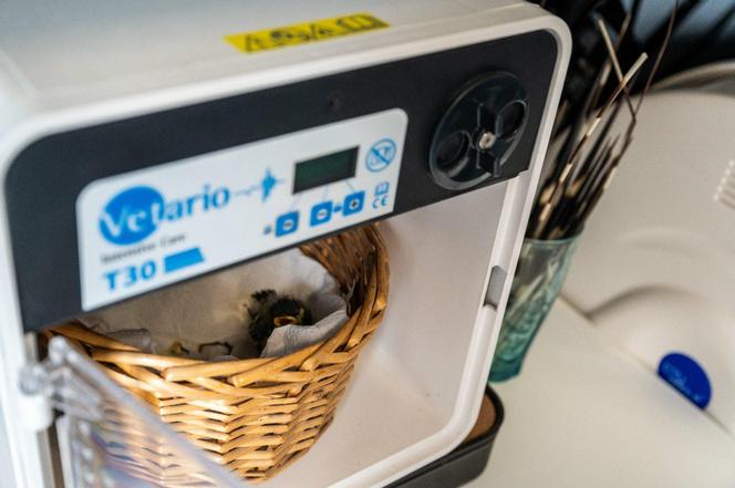 Nowość w autach poznańskiej Straży Miejskiej! To w trosce o najmniejsze zwierzaki 