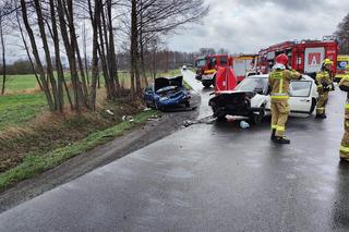 Śmiertelny wypadek pod Łaskiem. Kierujący volkswagenem nie żyje, 4-letnie dziecko zabrał śmigłowiec [ZDJĘCIA]