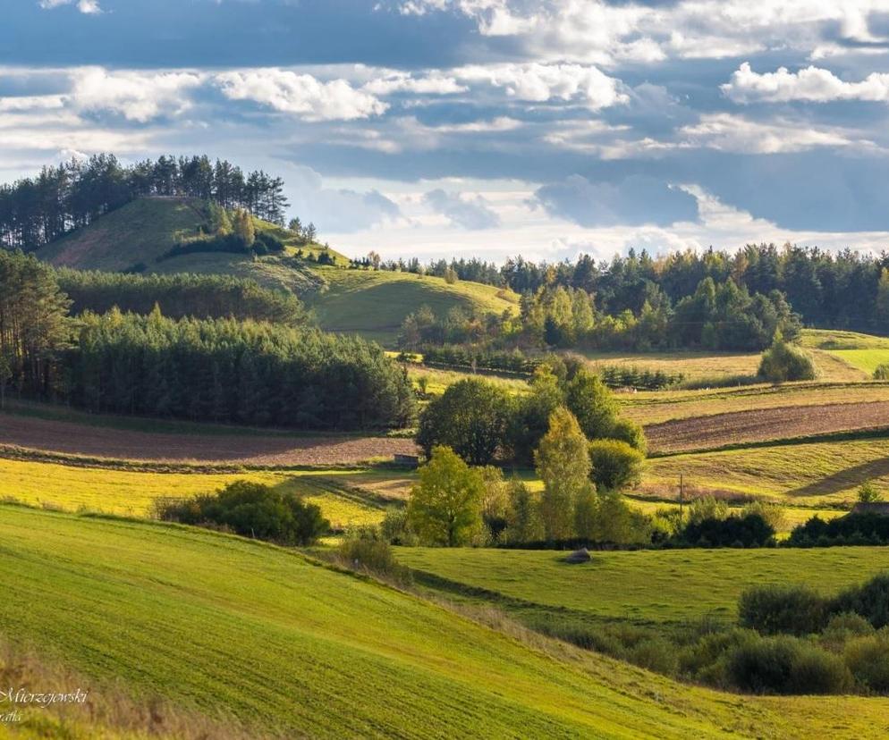 Podlaskie atrakcje turystyczne na lato. Góra Cisowa przy Suwałkach [ZDJĘCIA]