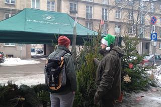 Choinka dla życia. Oddaj krew i zabierz choinkę do domu