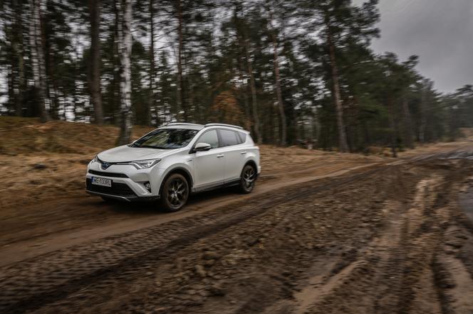 Toyota RAV4 Hybrid E-Four: na działkę, na ryby i na grzyby