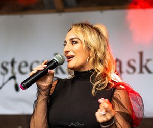 Dni Miasteczka Śląskiego 2024