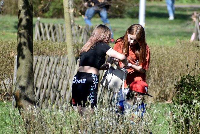 Miasto Piła