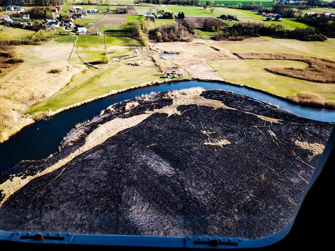 Biebrzański Park Narodowy: Tak płonie natura. Wstrząsające zdjęcia