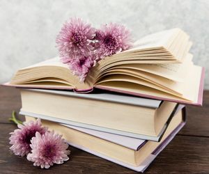Quiz o polskich przysłowiach. Uzupełnisz brakujące słowo?