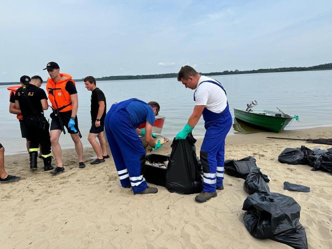 Bariera ma zapobiec przedostawaniu się "złotej algi" do Kanału Gliwickiego. Od soboty wyłowiono już 3,9 ton śniętych ryb