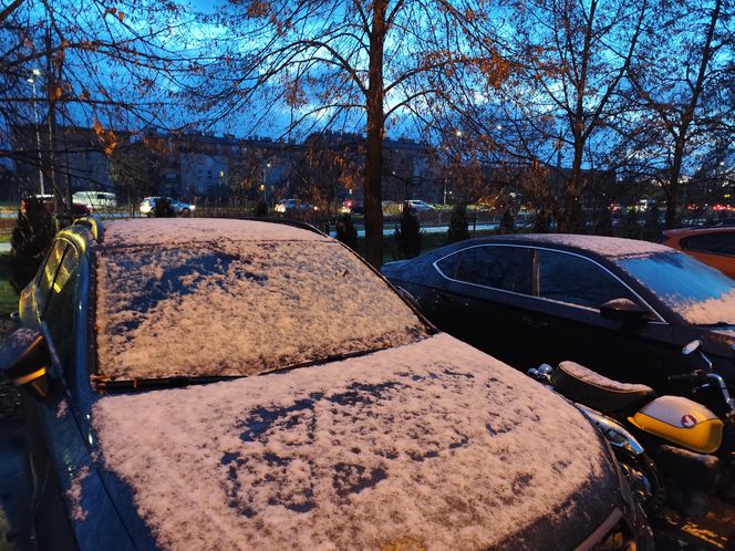 Pierwszy śnieg spadł w Poznaniu i okolicach