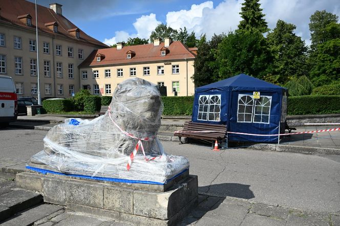 Renowacja koszalińskich lwów