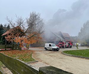 Pali się Ranczo Smyczyna koło Leszna