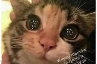 Najlepsze memy o świętach. Te obrazki rozbawią Cię do łez! Tak wygląda Boże Narodzenie oczami internautów [TOP 75]