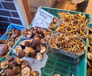 Ceny grzybów na Nowym i Starym Kleparzu w Krakowie