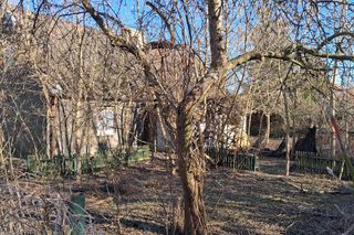 Społecznicy ze Starego Fordonu: Rozwydrzone i agresywne nastolatki rządzą osiedlem