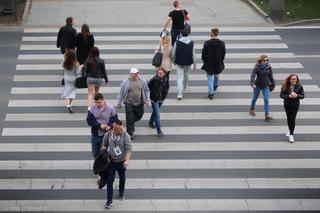 Szczecin: Przeszedł na czerwonym świetle, trafił za kratki. Co przeskrobał?