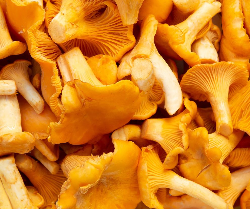 Kurki to bogactwo potasu i witaminy B. Ale nietrudno o szkodliwą pomyłkę