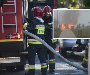 Pożar w Poznaniu. Zapalił się pomost na jeziorze Strzeszyńskim! Czy to było podpalenie?!