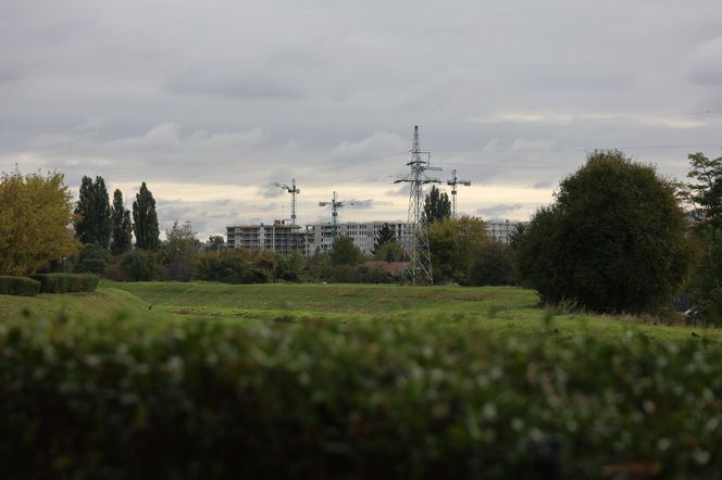 Jesienna odsłona terenów nad Bystrzycą w Lublinie. Tak się prezentuje w październiku