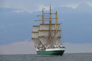 ParadaZagleGdyni2014_FotMZwierz_710313