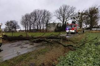 Drzewa na samochodach, zerwane dachy, brak prądu. Skutki wichury w Toruniu i okolicach