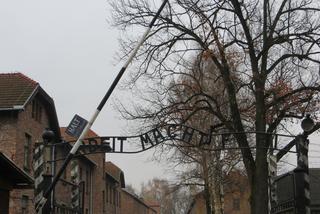 „Hajlowała” przed bramą Auschwitz-Birkenau. Prokurator zareagował błyskawicznie