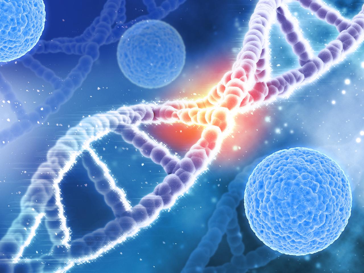 Karcenogeneza, czyli nowotworzenie