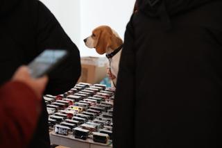 Lubelska Giełda Modelarska