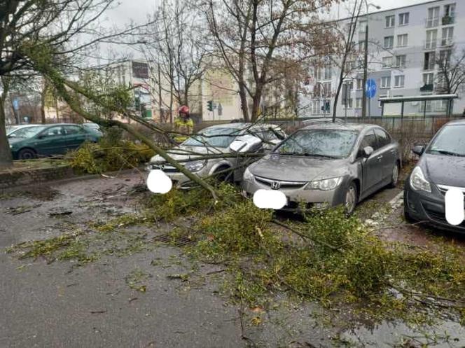 Drzewa na samochodach, zerwane dachy, brak prądu. Skutki wichury w Toruniu i okolicach