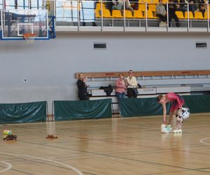 Eliminacje do Mistrzostw Polski w jeździe figurowej na rolkach, Toruń 2025