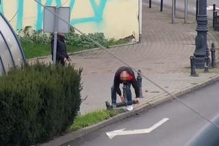 Wyrywali słupek drogowy w centrum Bydgoszczy. Wszystko pod okiem kamer miejskich! [ZDJĘCIA]