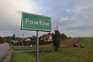 Tragiczny wypadek w Pawłowie. Byk zaatakował kobietę