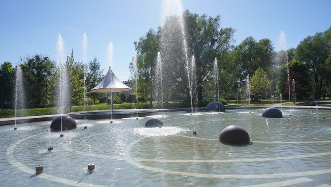 To najpiękniejszy park miejski w Olsztynie według AI. Zajmuje niemal 13 hektarów!