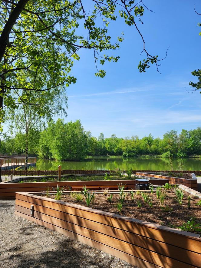 Kraków - Park Tetmajera