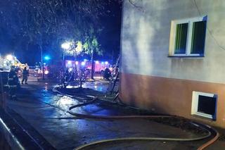  Transformator zabił ojca i dwoje małych dzieci. Z życiem uszła jedynie matka