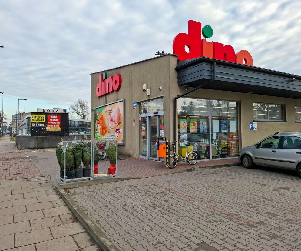 Sieć Dino chce podbić Śląsk. Tu powstaną nowe sklepy