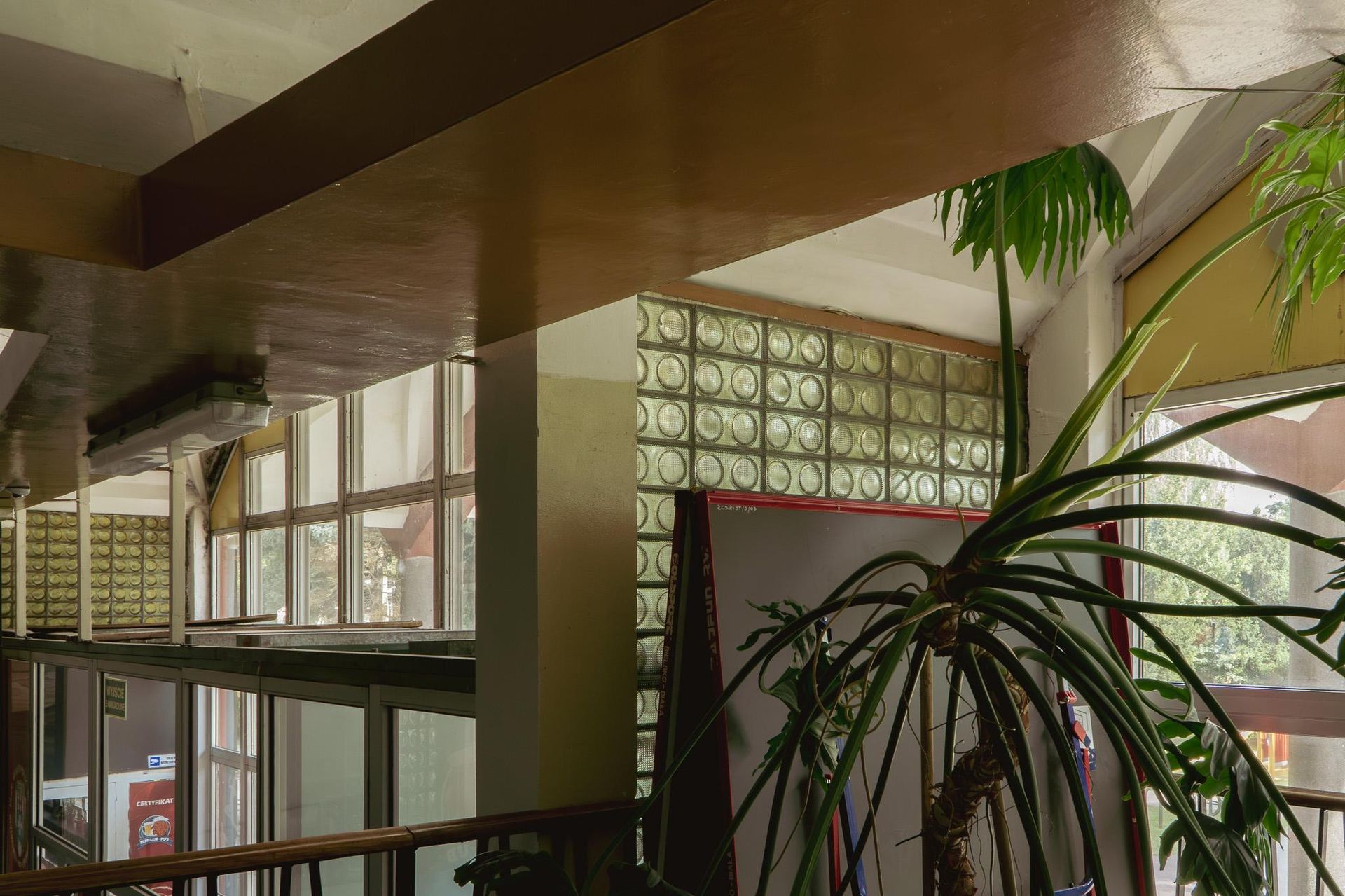 Hala ROSiR w Rzeszowie