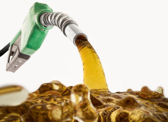 Uważaj na kontrole skarbówki, jeśli masz firmę w jednej z tych branż