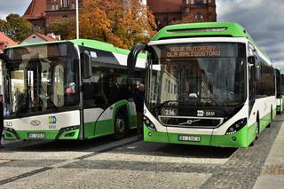 Nowe autobusy w Białymstoku. Są nowoczesne i bardziej przyjazne środowisku [ZDJĘCIA]