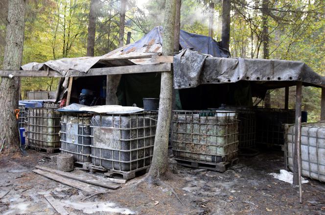 Szudziałowo. Bimbru nie będzie! Na Podlasiu zlikwidowano gigantyczną leśną bimbrownię