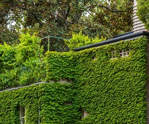 Willa Romualda Gutta na Kolonii Profesorskiej w Warszawie