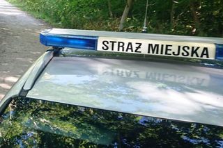 Straż Miejska ma nowe uprawnienia. Skontroluje rowerzystów i wlepi mandat 