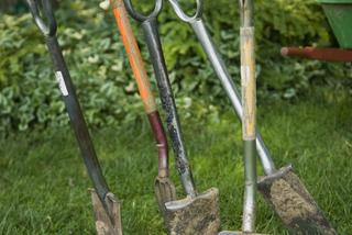 Narzędzia do ogrodu: przygotowanie narzędzi ogrodniczych przed sezonem