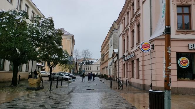 Pierwszy śnieg w tym sezonie! Lublin jest ukryty pod zimową pierzynką 