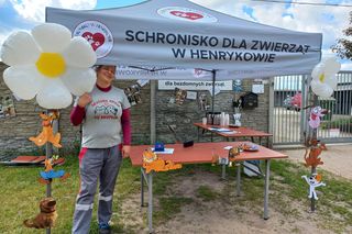 „Wszystkie psiaki nasze są” w schronisku w Henrykowie koło Leszna