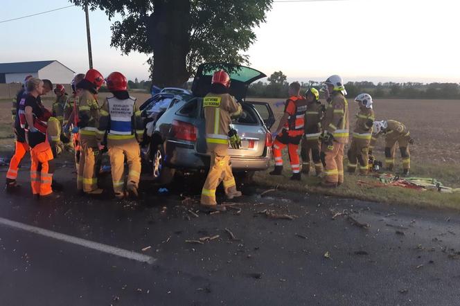 Tragiczny wypadek pod Mogilnem! Zginął kierowca i pasażerka