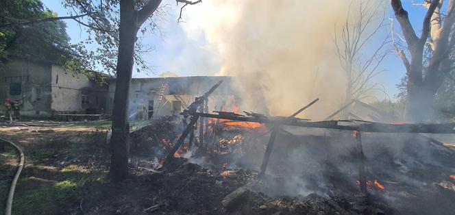 Gigantyczny pożar domu w Grudziądzu! Na miejscu 13 zastępów straży pożarnej [ZDJĘCIA]